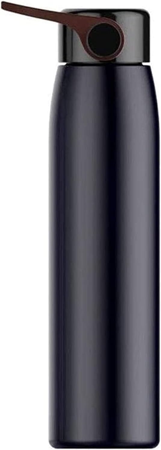 Portable Thermos Cup Kettle Fashion Stainless Steel Thermos, Portable Vacuum Travel Mug with Handle 320ml Thermos (Color : Black)